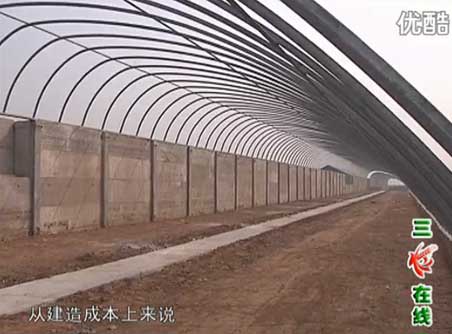 可移動裝配式日光溫室大棚-新型溫室大棚