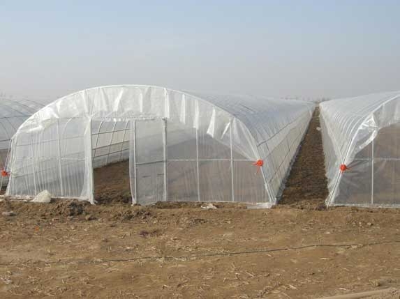 如何搭建簡易大棚，搭建簡易大棚的方法