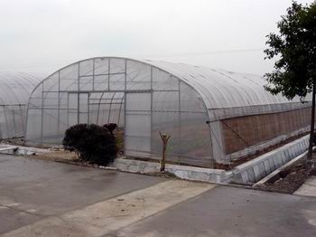農用簡易大棚圖片