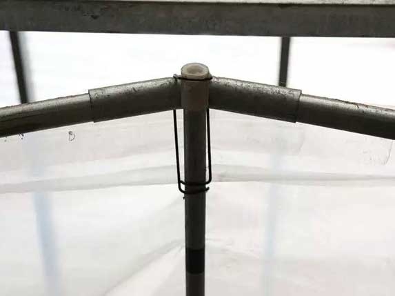 大棚壓頂簧安裝效果圖