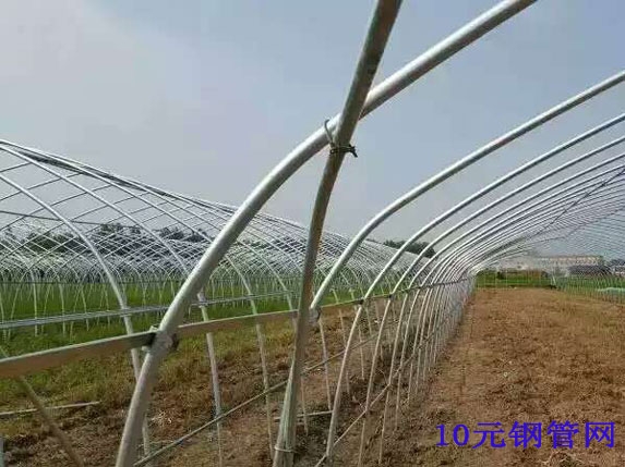 6分大棚管圖片