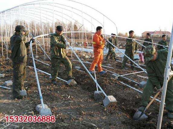 木耳吊袋大棚安裝圖片