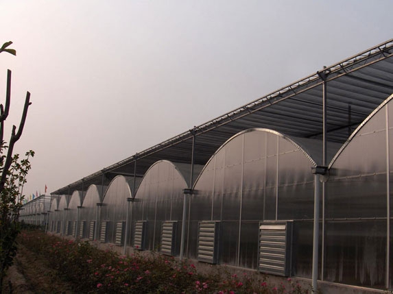 標準薄膜連棟溫室圖片