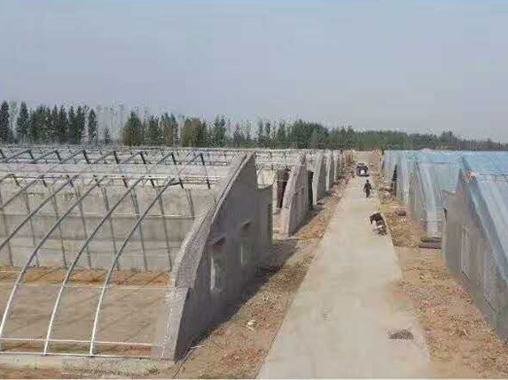 帶后墻溫室大棚圖片 帶后墻溫室大棚圖片