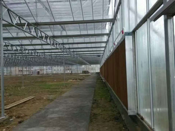陽關板智能連棟溫室大棚圖片 陽關板智能連棟溫室大棚圖片