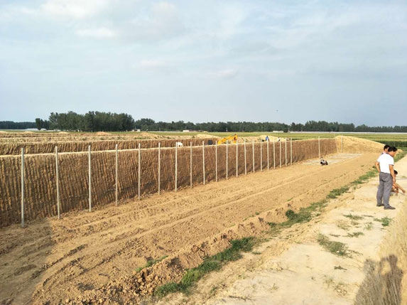 大棚安裝前棚面圖片