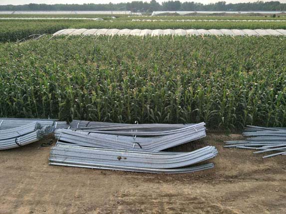 橢圓大棚骨架圖片