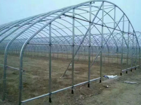 橢圓管大棚棚頭圖片