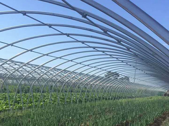 橢圓大棚管實(shí)際安裝效果圖