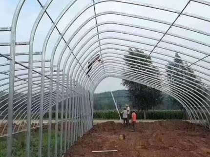 橢圓管陰陽棚圖片