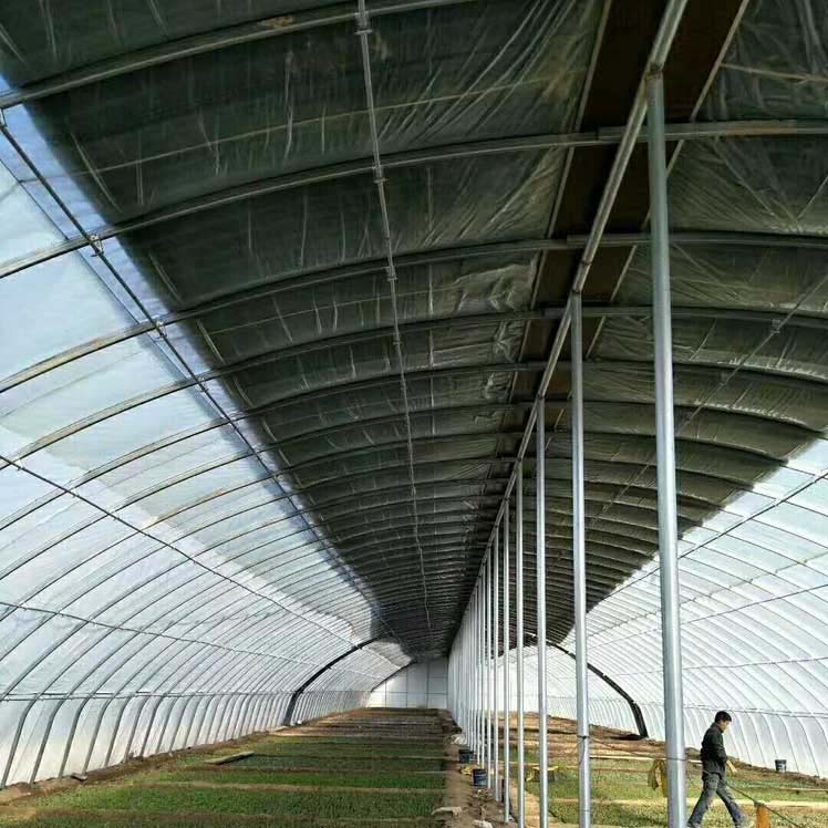 橢圓管大棚高清圖片