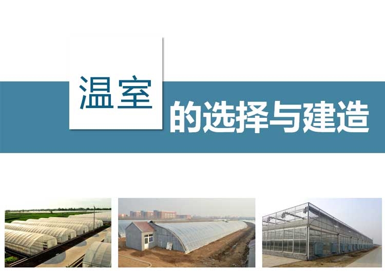 溫室大棚的選擇分類圖片 溫室大棚的選擇分類圖片