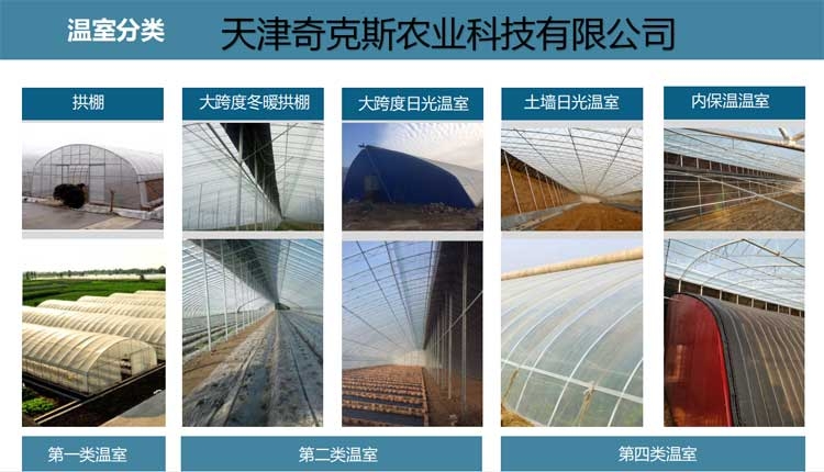 農用大棚的造型結構分類圖片 農用大棚的造型結構分類圖片
