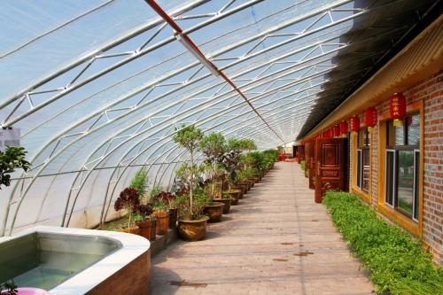 農家樂大棚圖片