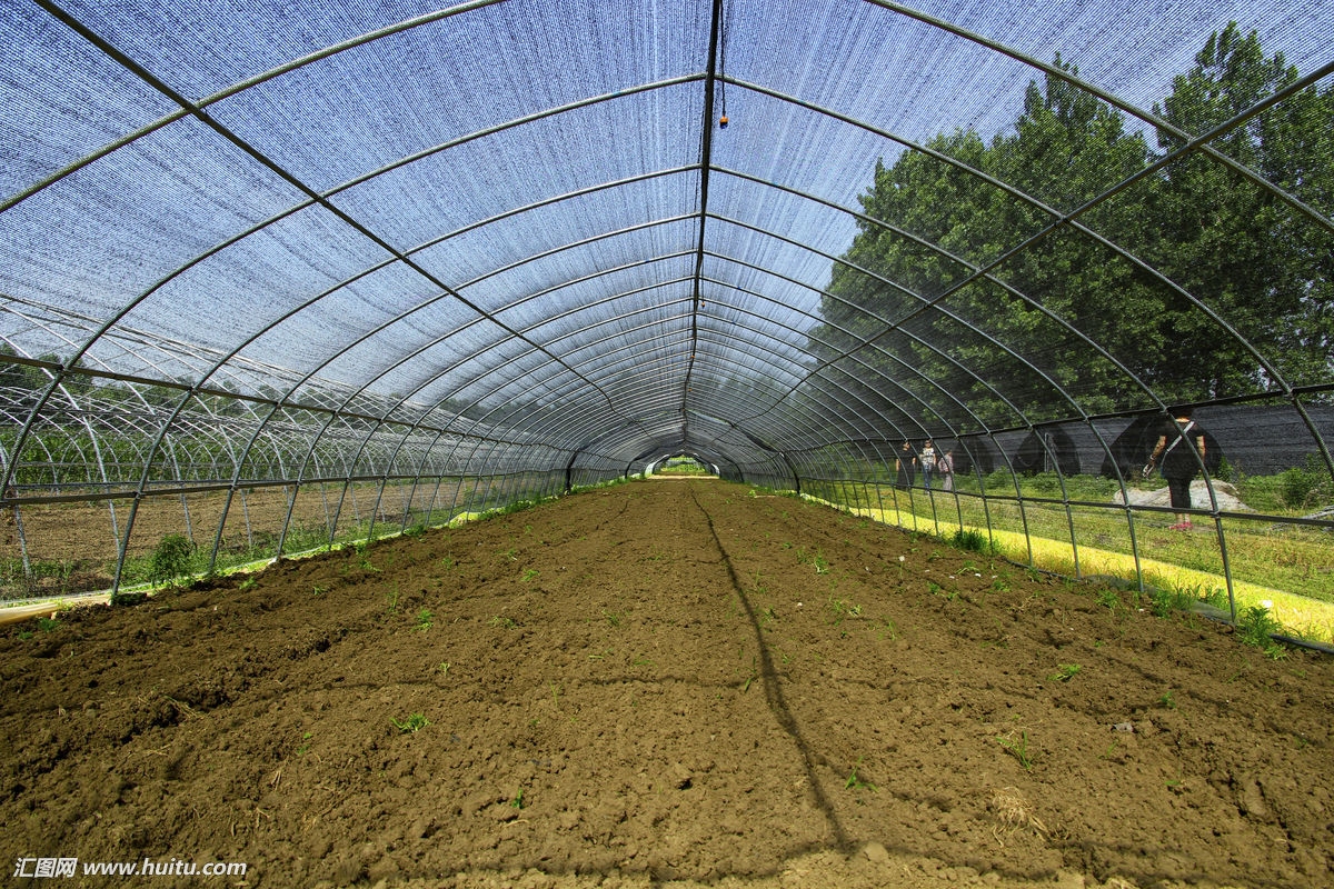 溫室大棚圖片