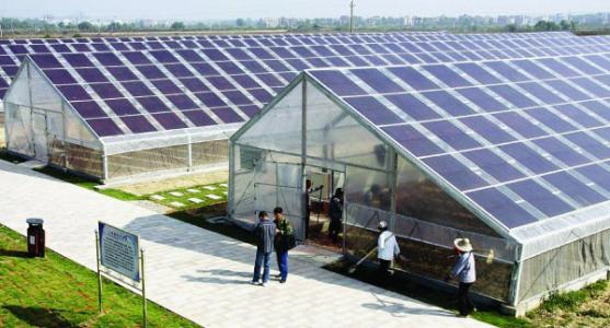 光伏大棚圖片 光伏大棚圖片