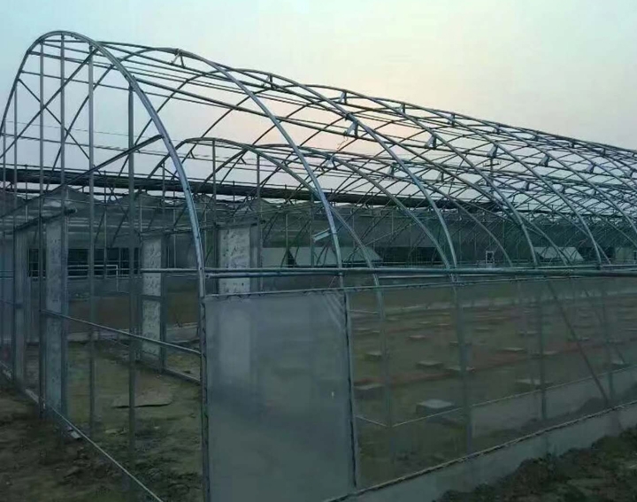 雙拱蔬菜拱棚圖片