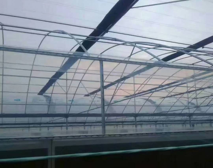 簡(jiǎn)易連棟大棚圖片 簡(jiǎn)易連棟大棚圖片