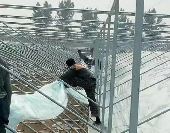 簡(jiǎn)易連棟大棚高清圖片 簡(jiǎn)易連棟大棚高清圖片