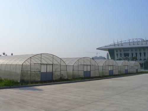 溫室大棚圖片