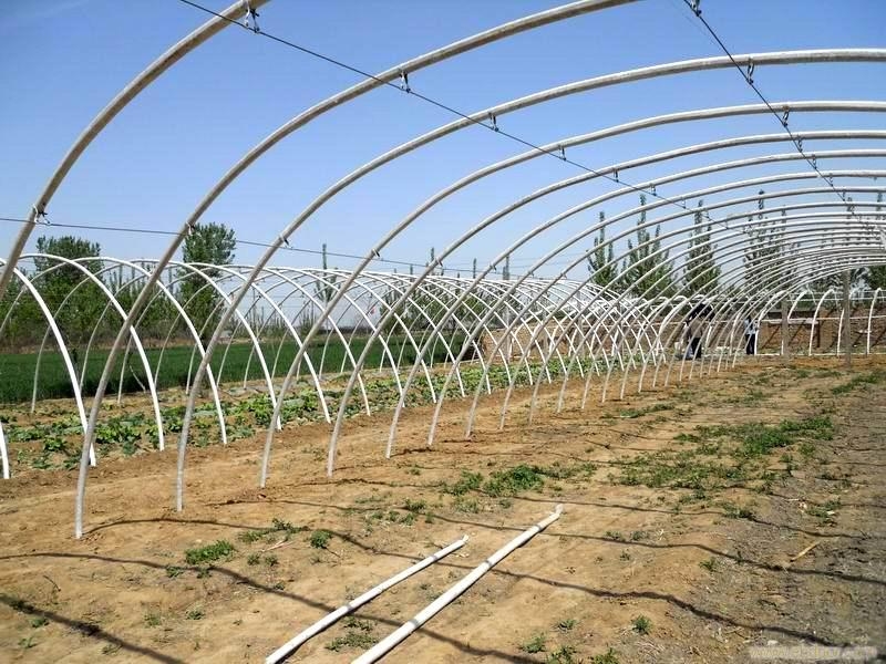 溫室大棚管圖片