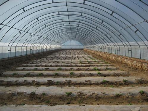 溫室大棚管圖片