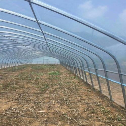 溫室大棚管圖片