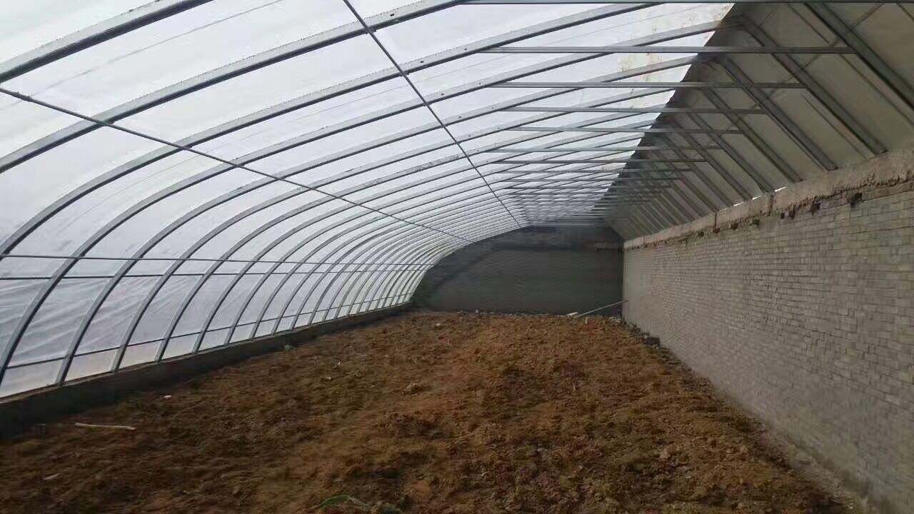 磚墻日光溫室圖片