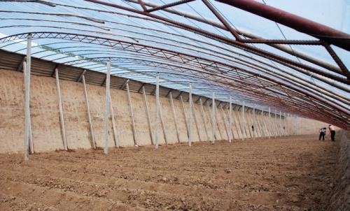 磚墻日光溫室圖片