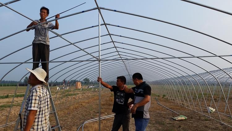 溫室大棚圖片 溫室大棚圖片