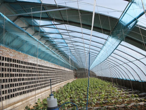 溫室大棚管圖片 溫室大棚管圖片
