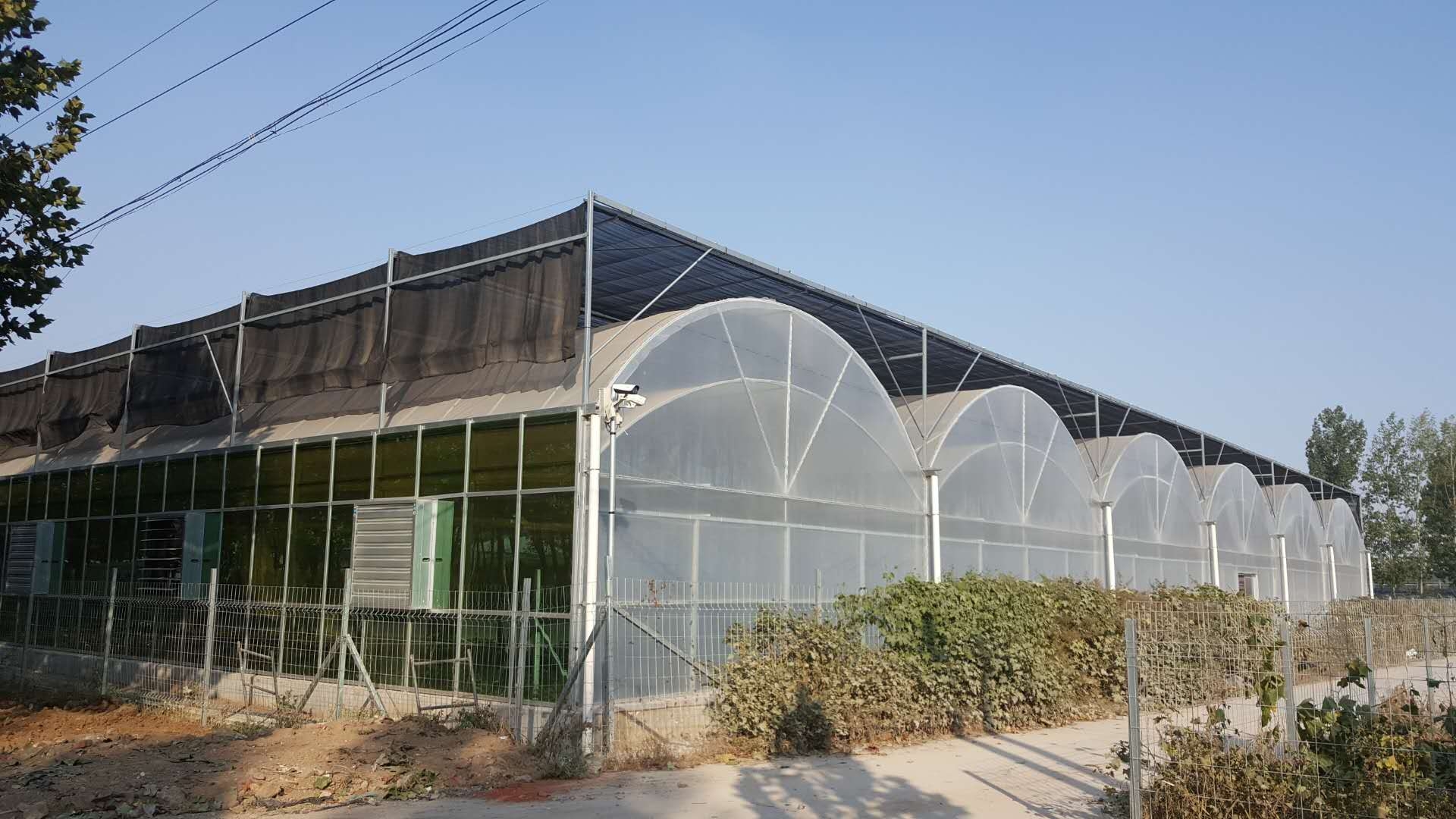 連棟溫室大棚圖片