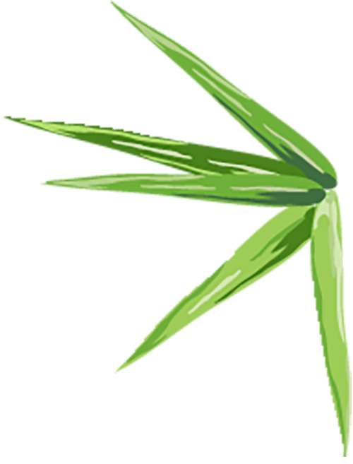 【創閱匯】不倒熊貓小實驗;搖頭風扇模型制作;電動伸縮門模型制作:伸縮門